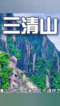 乌龟咬人有毒吗