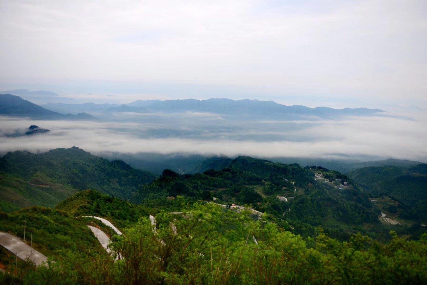 “风雪过境再相聚”，河南众多著名景区通知暂停开放